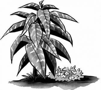 Gardening Advice: Avoid Pitfalls With These Garden Design Tips Image